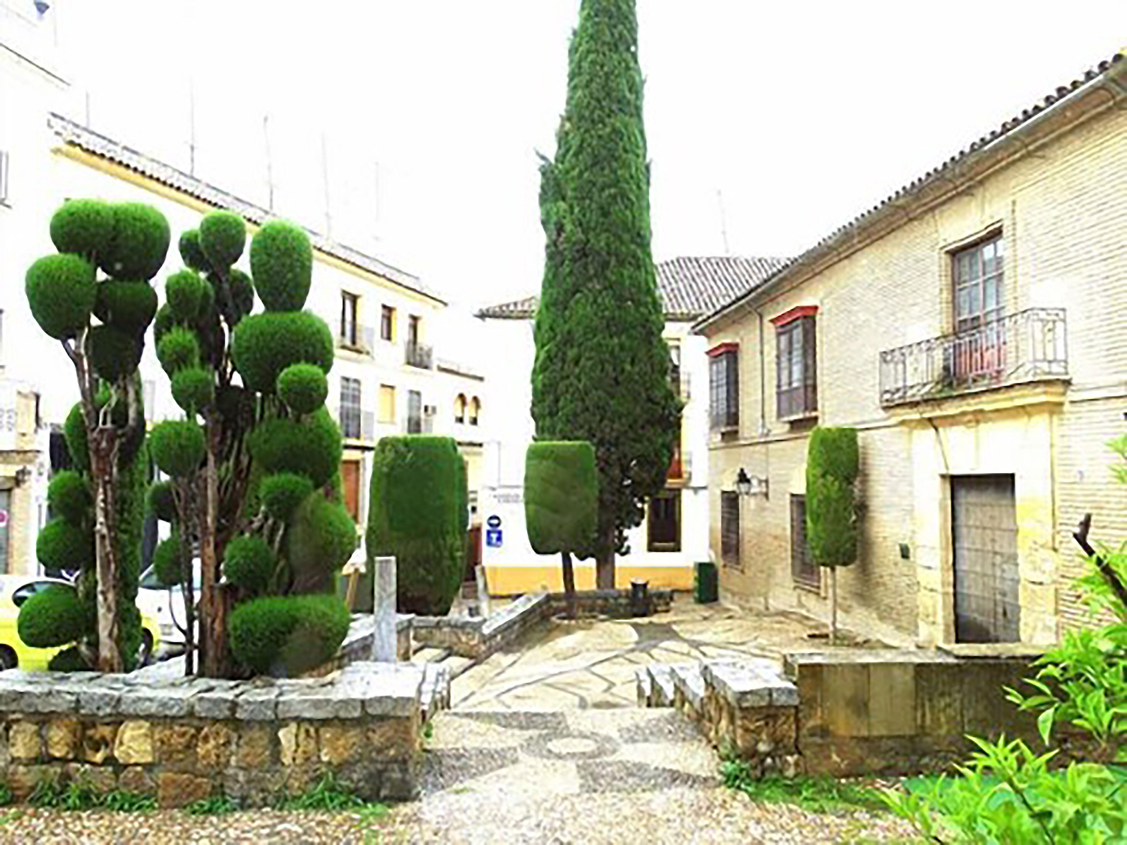Hotel Plateros — Photos 3